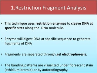 1.Restriction Fragment Analysis
• This technique uses restriction enzymes to cleave DNA at
specific sites along the DNA molecule.
• Enzyme will digest DNA at specific sequence to generate
fragments of DNA
• Fragments are separated through gel electrophoresis.
• The banding patterns are visualized under florescent stain
(ethidium bromid) or by autoradiography.
 