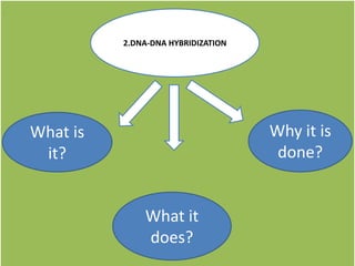 .
.
2.DNA-DNA HYBRIDIZATION
What is
it?
What it
does?
Why it is
done?
 
