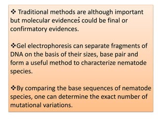  Traditional methods are although important
but molecular evidences could be final or
confirmatory evidences.
Gel electrophoresis can separate fragments of
DNA on the basis of their sizes, base pair and
form a useful method to characterize nematode
species.
By comparing the base sequences of nematode
species, one can determine the exact number of
mutational variations.
.
 