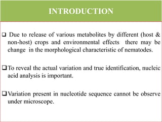 INTRODUCTION
 Due to release of various metabolites by different (host &
non-host) crops and environmental effects there may be
change in the morphological characteristic of nematodes.
To reveal the actual variation and true identification, nucleic
acid analysis is important.
Variation present in nucleotide sequence cannot be observe
under microscope.
 