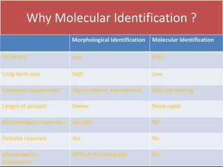 Why Molecular Identification ?
. Morphological Identification Molecular Identification
Set-up cost Low High
Long-term cost High Low
Employee requirement Highly trained, experienced Minimal training
Length of process Slower More rapid
Morphological characters Variable NA
Females required Yes No
Mixed species
populations
Difficult to distinguish No
 