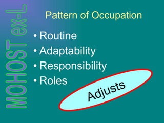 Pattern of Occupation Routine Adaptability Responsibility Roles Adjusts 