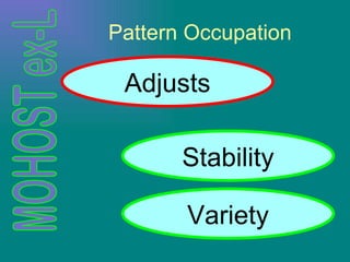 Pattern Occupation Adjusts Stability Variety 