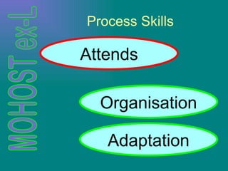 Process Skills Attends Organisation Adaptation 