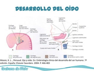 Desarrollo del oído




Moore, K. L. , Persaud. Ojo y oído. En: Embriología clínica del desarrollo del ser humano. 7ª
edición. España: Elsevier Saunders. 2004. P. 466-483
 