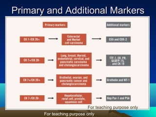 Primary and Additional Markers

For teaching purpose only
For teaching purpose only

 