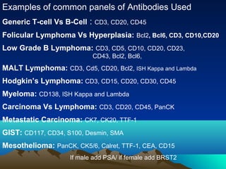 Examples of common panels of Antibodies Used
Generic T-cell Vs B-Cell : CD3, CD20, CD45
Folicular Lymphoma Vs Hyperplasia: Bcl2, Bcl6, CD3, CD10,CD20
Low Grade B Lymphoma: CD3, CD5, CD10, CD20, CD23,
CD43, Bcl2, Bcl6,

MALT Lymphoma: CD3, Cd5, CD20, Bcl2, ISH Kappa and Lambda
Hodgkin’s Lymphoma: CD3, CD15, CD20, CD30, CD45
Myeloma: CD138, ISH Kappa and Lambda
Carcinoma Vs Lymphoma: CD3, CD20, CD45, PanCK
Metastatic Carcinoma: CK7, CK20, TTF-1
GIST: CD117, CD34, S100, Desmin, SMA
Mesothelioma: PanCK, CK5/6, Calret, TTF-1, CEA, CD15
If male add PSA/ if female add BRST2

 