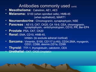 Antibodies commonly used contd.

• Mesothelioma: Calretinin, AE1, AE3
• Melanoma: S100 (when spindled cells), HMB-45
•
•
•
•
•
•
•

(when epithelioid), MART1
Neuroendocrine : Chromogranin, synaptophysin, NSE
Pancreas : AE1/3, CK7, CK20, CA 19-9, CEA, chromogranin,
synaptophysin, -antichymotrypsin, CD10, PR, Ber-EP4
Prostate :PSA, CK7, CK20
Renal: EMA, CD10, HMB-45,
inhibin- (to exclude adrenal /cortical)
Sarcoma : Vimentin, S100, CD117 (c-Kit), CD34,SMA, myogenin,
CD31, CD68, desmin,CD1a, CD99
Thyroid: TTF-1, thyroglobulin, calcitonin, CEA
Urothelial : CK7, CK20,Uroplakin

 