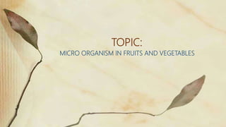 TOPIC:
MICRO ORGANISM IN FRUITS AND VEGETABLES
 