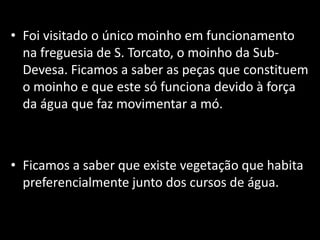 Foi visitado o único moinho em funcionamento na freguesia de S. Torcato, o moinho da Sub-Devesa. Ficamos a saber as peças que constituem o moinho e que este só funciona devido à força da água que faz movimentar a mó.Ficamos a saber que existe vegetação que habita preferencialmente junto dos cursos de água. 