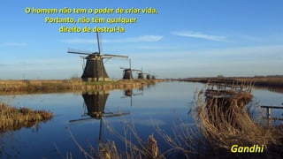O homem não tem o poder de criar vida.O homem não tem o poder de criar vida.
Portanto, não têm qualquerPortanto, não têm qualquer
direito de destruí-ladireito de destruí-la
GandhiGandhi
 