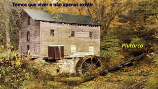 Temos que viver e não apenas existirTemos que viver e não apenas existir
PlutarcoPlutarco
 