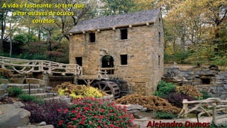 A vida é fascinante: só tem queA vida é fascinante: só tem que
olhar através de óculosolhar através de óculos
corretoscorretos
Alejandro DumasAlejandro Dumas
 