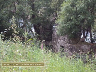 Moinho de Souto S. Salvador em ruínas
 