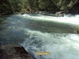 A força da água
 
