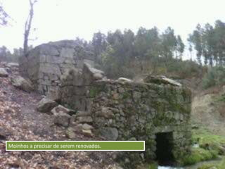 Moinhos a precisar de serem renovados.
 
