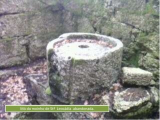 Mó do moinho de Stª Leocádia abandonada.
 