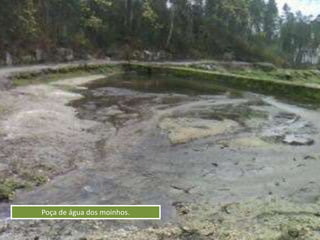 Poça de água dos moinhos.
 