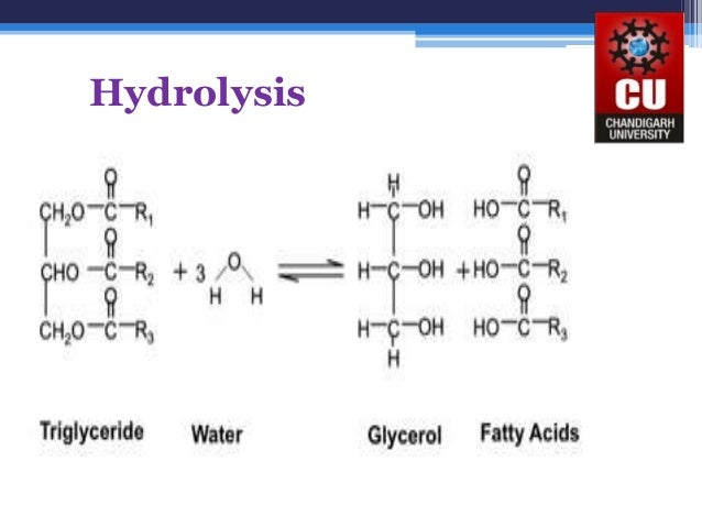 Triglycerides