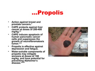 …Propolis
• Action against breast and
prostate cancers.*
• CAPE protects against liver
cancer at doses of 200-400
mg/kg.**...