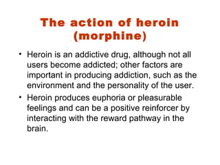 Narcotics: Heroin, Opium, Morphine, Meperidine, Phentanyl,
Oxycodone, Hydrocodone, Codeine, Darvon, etc. “Designer
Drugs”:...