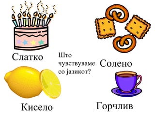 Слатко    Што
          чувствуваме   Солено
          со јазикот?




 Кисело                 Горчлив
 