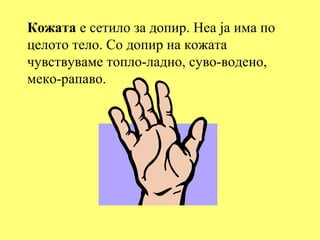 Кожата е сетило за допир. Неа ја има по
целото тело. Со допир на кожата
чувствуваме топло-ладно, суво-водено,
меко-рапаво.
 