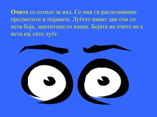 Очите се сетило за вид. Со нив ги распознаваме
предметите и појавите. Луѓето имаат две очи со
иста боја, заштитени со капак. Бојата на очите не е
иста кај сите луѓе.
 