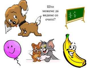 Што
можеме да
видиме со
 очите?
 