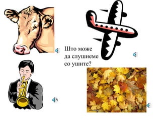 Што може
да слушнеме
со ушите?
 