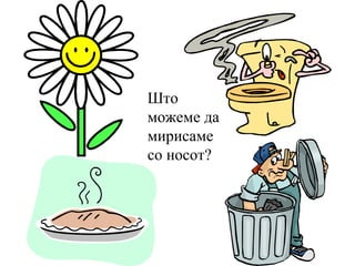 Што
можеме да
мирисаме
со носот?
 