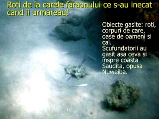 Roti de la carele faraonului ce s-au inecat cand ii urmareau!  Obiecte gasite: roti, corpuri de care, oase de oameni si cai.  Scufundatorii au gasit asa ceva si inspre coasta Saudita, opusa Nuweiba. 