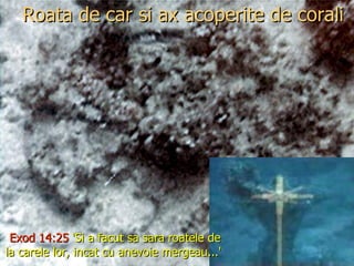 Roata de car si ax acoperite de corali Exod 14:25  ‘Si a facut sa sara roatele de la carele lor, incat cu anevoie mergeau...'   