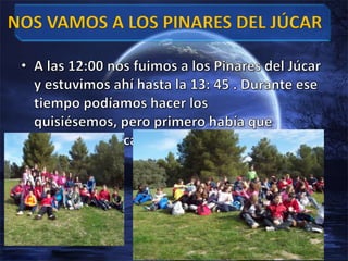 A las 12:00 nos fuimos a los Pinares del Júcar y estuvimos ahí hasta la 13: 45 . Durante ese tiempo podíamos hacer los quisiésemos, pero primero había que comerse el bocadillo.NOS VAMOS A LOS PINARES DEL JÚCAR