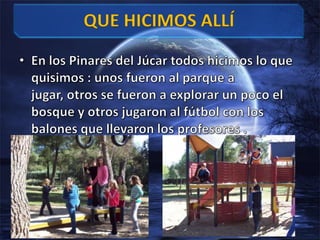 En los Pinares del Júcar todos hicimos lo que quisimos : unos fueron al parque a jugar, otros se fueron a explorar un poco el bosque y otros jugaron al fútbol con los balones que llevaron los profesores .QUE HICIMOS ALLÍ