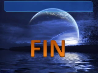 FIN