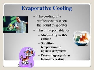 Evaporative Cooling
    • The cooling of a
      surface occurs when
      the liquid evaporates
    • This is responsible for:
       – Moderating earth’s
         climate
       – Stabilizes
         temperature in
         aquatic ecosystems
       – Preventing organisms
         from overheating
 