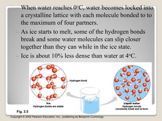 – When water reaches 0oC, water becomes locked into
      a crystalline lattice with each molecule bonded to to
      the maximum of four partners.
    – As ice starts to melt, some of the hydrogen bonds
      break and some water molecules can slip closer
      together than they can while in the ice state.
    – Ice is about 10% less dense than water at 4oC.




    Fig. 3.5
Copyright © 2002 Pearson Education, Inc., publishing as Benjamin Cummings
 