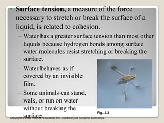 • Surface tension, a measure of the force
  necessary to stretch or break the surface of a
  liquid, is related to cohesion.
      – Water has a greater surface tension than most other
          liquids because hydrogen bonds among surface
          water molecules resist stretching or breaking the
          surface.
      – Water behaves as if
          covered by an invisible
          film.
      – Some animals can stand,
          walk, or run on water
          without breaking the
                                                                    Fig. 3.3
          surface.
Copyright © 2002 Pearson Education, Inc., publishing as Benjamin Cummings
 
