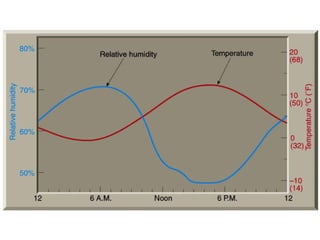 Rel. hum. vs. temp 