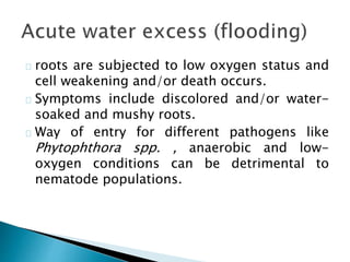 roots are subjected to low oxygen status and 
cell weakening and/or death occurs. 
Symptoms include discolored and/or water-soaked 
and mushy roots. 
Way of entry for different pathogens like 
Phytophthora spp. , anaerobic and low-oxygen 
conditions can be detrimental to 
nematode populations. 
 