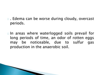 . Edema can be worse during cloudy, overcast 
periods. 
In areas where waterlogged soils prevail for 
long periods of time, an odor of rotten eggs 
may be noticeable, due to sulfur gas 
production in the anaerobic soil. 
 