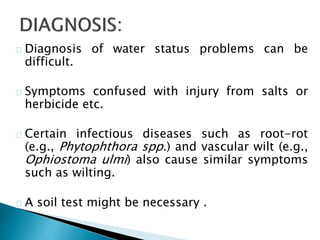 Diagnosis of water status problems can be 
difficult. 
Symptoms confused with injury from salts or 
herbicide etc. 
Certain infectious diseases such as root-rot 
(e.g., Phytophthora spp.) and vascular wilt (e.g., 
Ophiostoma ulmi) also cause similar symptoms 
such as wilting. 
A soil test might be necessary . 
 