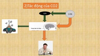 2)Tác động của CO2
3-5%10%
 