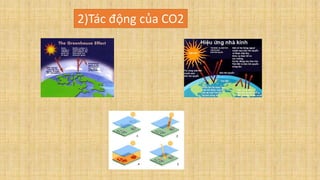 2)Tác động của CO2
 
