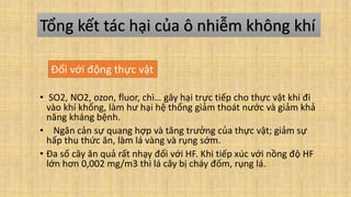 • SO2, NO2, ozon, fluor, chì… gây hại trực tiếp cho thực vật khi đi
vào khí khổng, làm hư hại hệ thống giảm thoát nước và giảm khả
năng kháng bệnh.
• Ngăn cản sự quang hợp và tăng trưởng của thực vật; giảm sự
hấp thu thức ăn, làm lá vàng và rụng sớm.
• Đa số cây ăn quả rất nhạy đối với HF. Khi tiếp xúc với nồng độ HF
lớn hơn 0,002 mg/m3 thì lá cây bị cháy đốm, rụng lá.
Tổng kết tác hại của ô nhiễm không khí
Đối với động thực vật
 