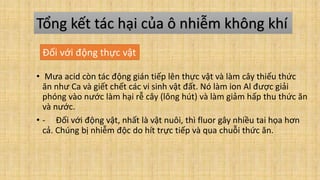 • Mưa acid còn tác động gián tiếp lên thực vật và làm cây thiếu thức
ăn như Ca và giết chết các vi sinh vật đất. Nó làm ion Al được giải
phóng vào nước làm hại rễ cây (lông hút) và làm giảm hấp thu thức ăn
và nước.
• - Ðối với động vật, nhất là vật nuôi, thì fluor gây nhiều tai họa hơn
cả. Chúng bị nhiễm độc do hít trực tiếp và qua chuỗi thức ăn.
Tổng kết tác hại của ô nhiễm không khí
Đối với động thực vật
 