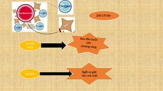 230-270 lần
10-30%
HbCO
50-60%
Ngất co giật
hôn mê chết
 