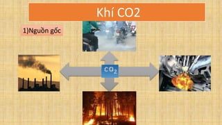 Khí CO2
1)Nguồn gốc
 