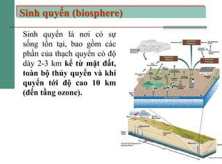 25
Sinh quyển (biosphere)
Sinh quyển là nơi có sự
sống tồn tại, bao gồm các
phần của thạch quyển có độ
dày 2-3 km kể từ mặ...